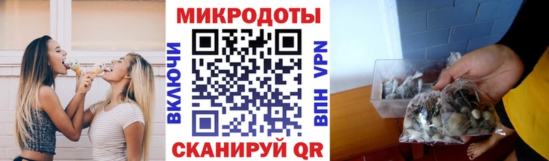 Псилоцибиновые грибы мухоморы  Купить закладки  Можга 