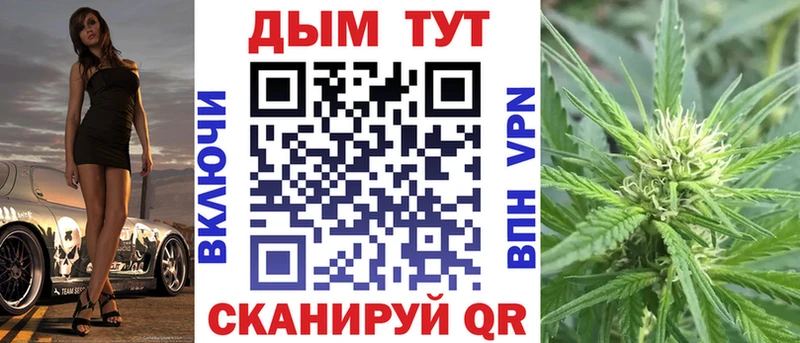 Купить закладки  Можга  Бошки Шишки планчик 