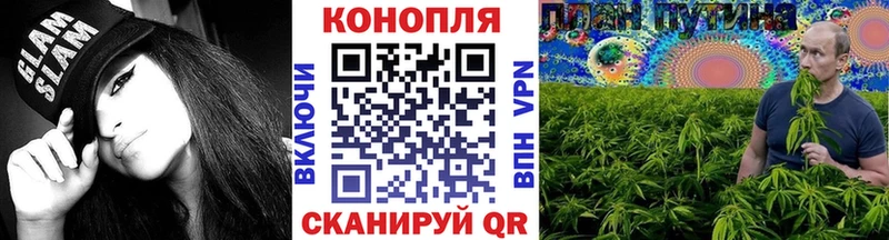 Шишки марихуана VHQ Можга
